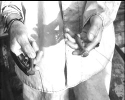 EVER JIGGED FOR A SQUID? News Clip