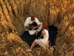 CRANE: Romantic Moment In Wheat Stock Footage