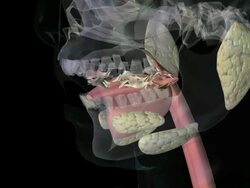 Chewing food Stock Footage