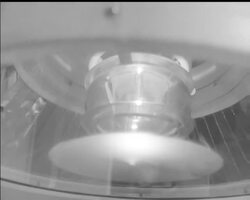 AFFECTION IS NOT ENOUGH News Clip