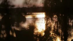 Lake - Stock footage Stock Footage