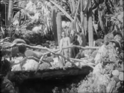 Exotic gardens and Grimaldi Palace in Monte Carlo. French Riviera, 1951 Stock Footage