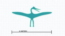 The Biggest Thing That Ever Flew Instructional Video