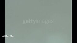 Cheetahs on a cheetah reserve in Namibia News Clip