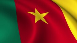 Cameroon Flag Loopable Stock Footage