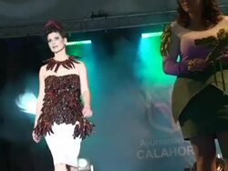 Vegetable Conference Stock Footage