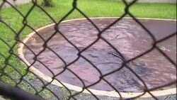 A crocodile swims underwater in a swimming pool. Stock Footage