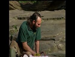 Berlin's beloved polar bear Knut, an international star who as a cuddly, fluffy cub graced magazine covers, movies and merchandise, died Saturday. News Clip