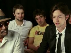 INTERVIEW: 100 Monkeys Stock Footage