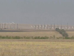 wind generators in the desert Stock Footage
