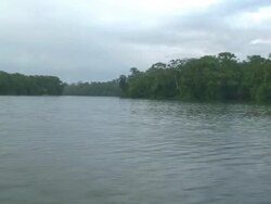 Sailing the river Stock Footage