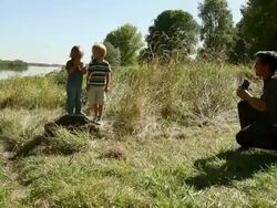 Father photographing his sons in field Stock Footage