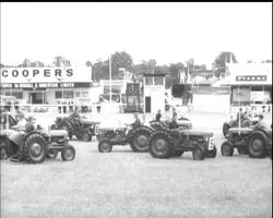 ROYAL SHOW News Clip