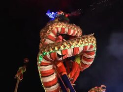 Chinese New Year Dragon. Stock Footage