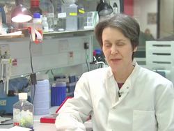 people are playing computer games to help Cancer research News Clip