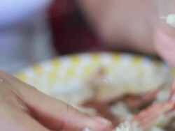 Claw Crab Stock Footage