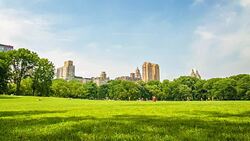 Central park, new york Stock Footage