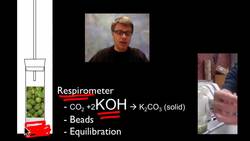 AP Biology Lab 5: Cellular Respiration Instructional Video