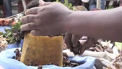 CLEAN : Traders in Kinshasa worried over drop of Congolese dollar News Clip