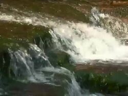 CLOSE-UP OF CASCADING WATER OVER LICHEN COVERED ROCKS Stock Footage