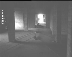 THAMES TIGHT-ROPE WALK News Clip