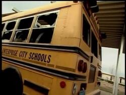 DVS AL Tornado Wrap News Clip