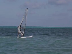 Windsurfer sails in Belize Stock Footage
