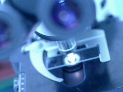 Scientist and bio lab experiment Stock Footage