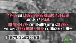 7 Things You Probably Don't Want to Know About Lice Instructional Video