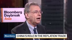 Macquarie's Shvets Says Trump Won't Succeed at Tax Reform News Clip