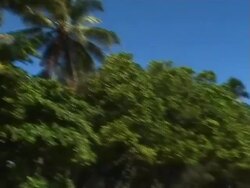 Tropical beach Stock Footage