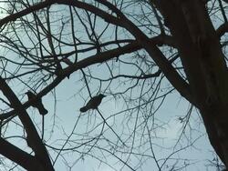 ATMOSPHERE: General Views: 62nd Berlinale International Film Festival on February 8, 2012 in Berlin, Germany. (Footage by WireImage Video/Getty Images) Stock Footage
