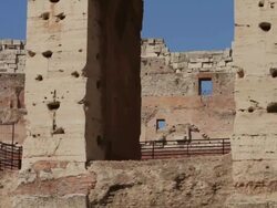 Flavian Amphitheater Coliseum of Rome HD Video Stock Footage