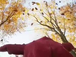 HD SLOW MOTION: Man Throwing Leaves In The Air Stock Footage