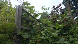 Solar panels on the roof of a London home News Clip