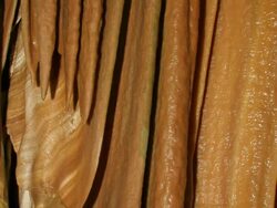 Limestone Stalactite Cave, Soreq cave, Avshalom Reserve, near Beit Shemesh, Israel Stock Footage