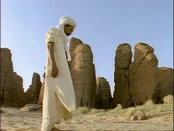 MS Arab man standing up from worship position, beginning Salah (ritual prayer), Algeria, Africa Stock Footage
