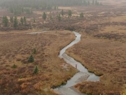 Fisherman casts line into mountain creek, autumn Stock Footage