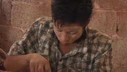 FORESTS PLUNDERED FOR FURNITURE FACTORIES News Clip