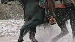 SLO MO TD Ranchers on galloping horses crossing river Stock Footage