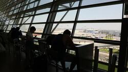 CLEAN : Airlines cancel Israel flights over Gaza rocket threat News Clip