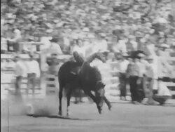 Sherriff's Rodeo in California Stock Footage