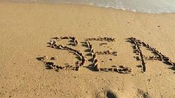 Sea written in golden sand Stock Footage