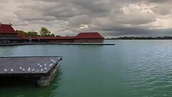 Aerial view of pier on Palic Lake Stock Footage