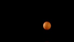 Orange ping-pong ball Spin on Slow motion Stock Footage