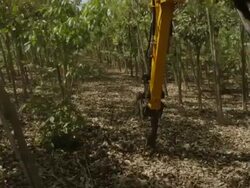 Part of agricultural machine in the fruit garden Stock Footage