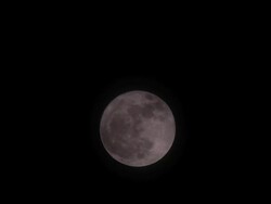 MS View of Full moon with clouds against night sky / Biei, Japan Stock Footage