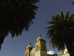 Church with Palm Trees in Oaxaca Mexico Stock Footage