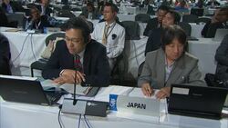 CITES discusses protecting US and European eels News Clip