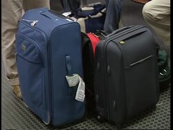 Passengers and scenes at Brindisi Airport News Clip